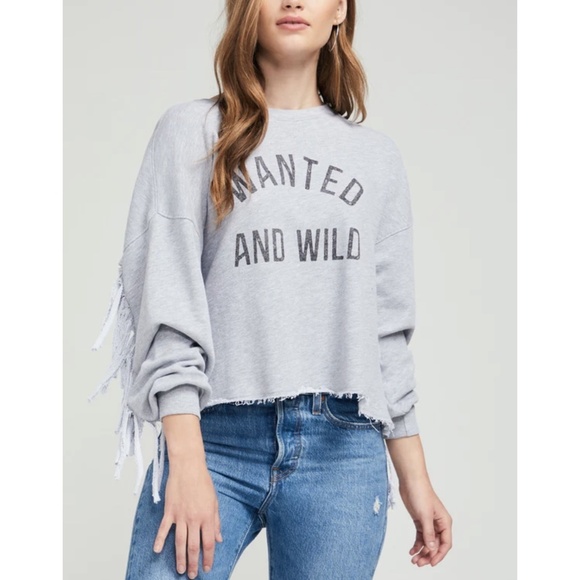 NWT Wildfox Ophelia Fringe Long Balloon Sleeve Jewel Neck Raw Hem Pullover - Picture 2 of 7